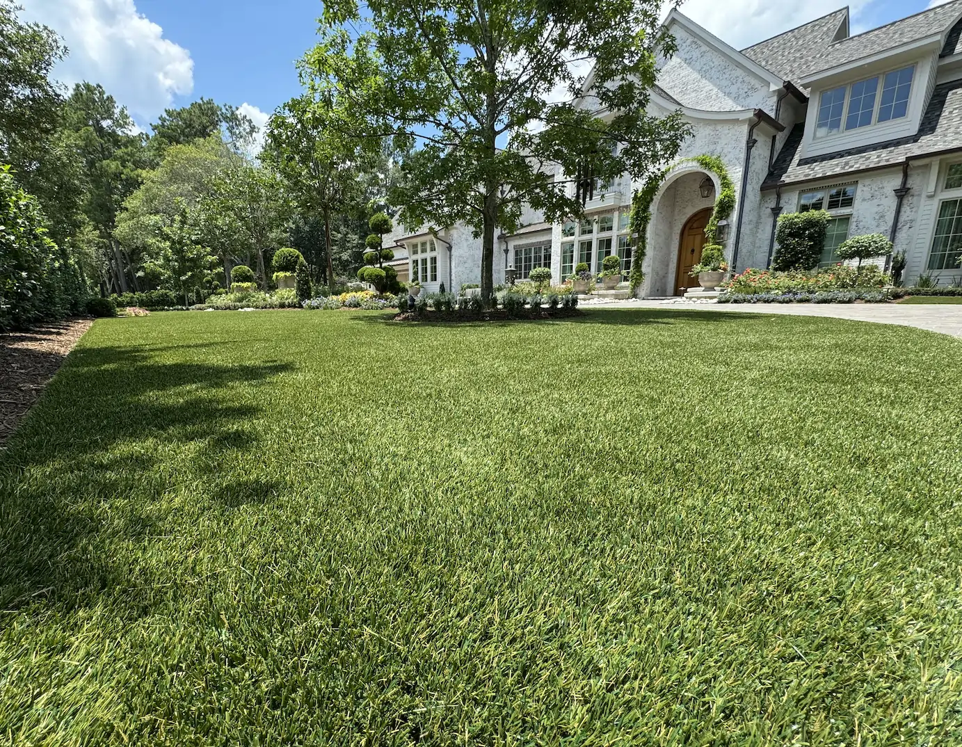 residential artificial grass lawn